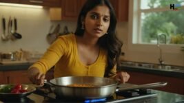 surya gas chulha price