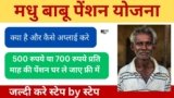 Madhubabu pension yojana status: बुजुर्गों और दिव्यांगों के लिए सहारा